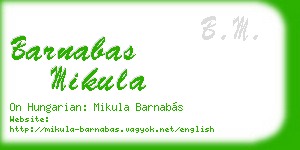 barnabas mikula business card