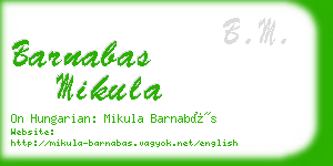 barnabas mikula business card